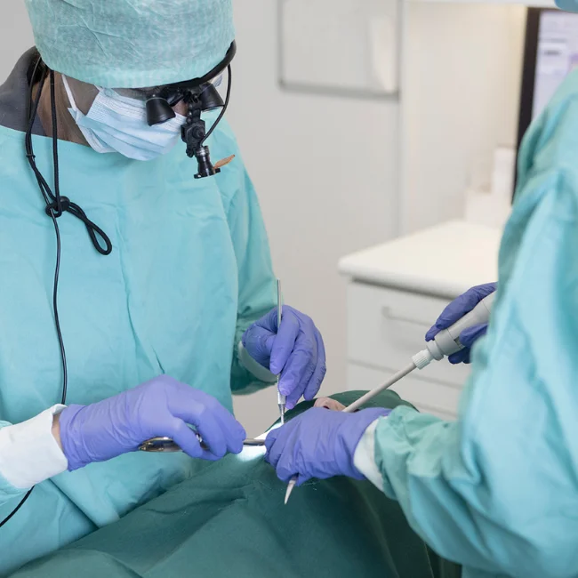 En tandlaege og en klinikassistent, som er i gang med at fjerne en visdomstand